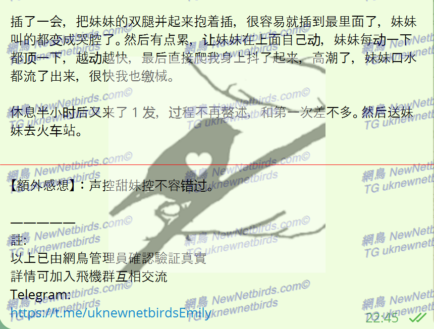 戰號 271 3.png